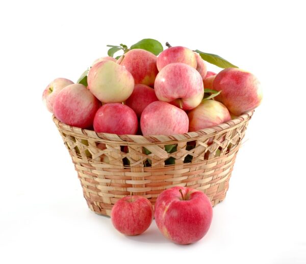 apples, basket full, set